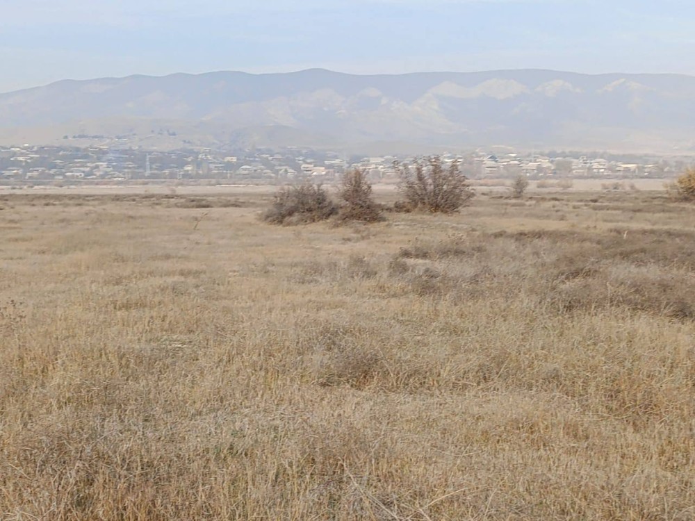 იყიდება მიწა ქალაქ კასპში